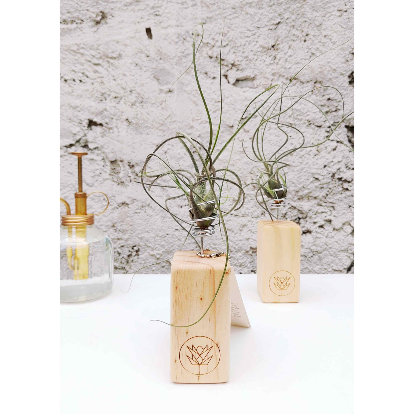 Colección Mini Pedestal