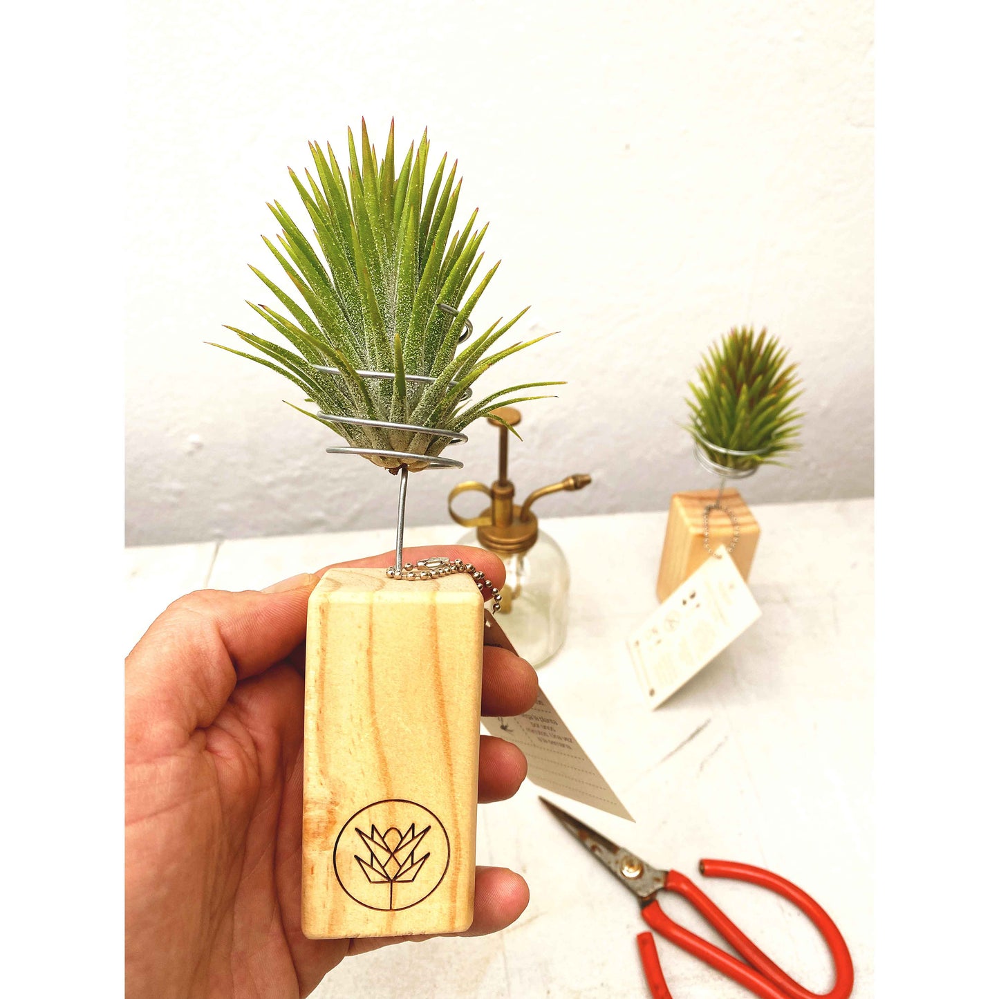 Colección Mini Pedestal