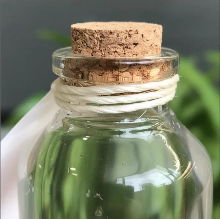 Marimo "Moss Ball" Mini Doble