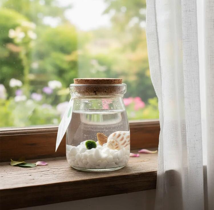 Marimo "Moss Ball" Pequeño