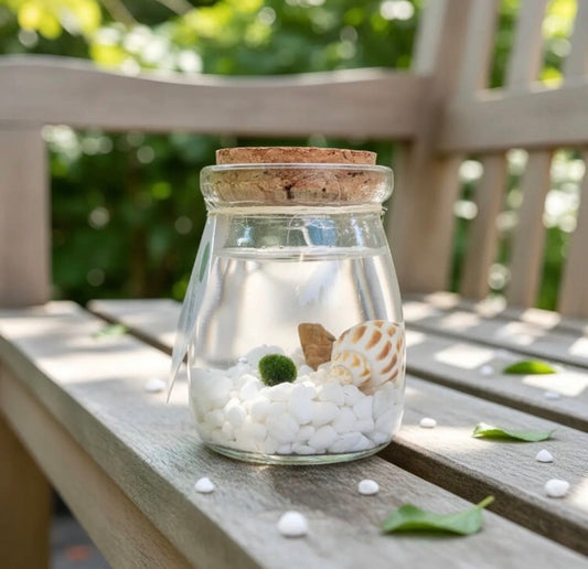Marimo "Moss Ball" Pequeño
